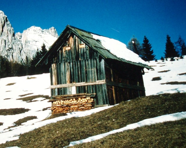 Aggiornamenti sulla diffusione della rabbia nel Nord-Est